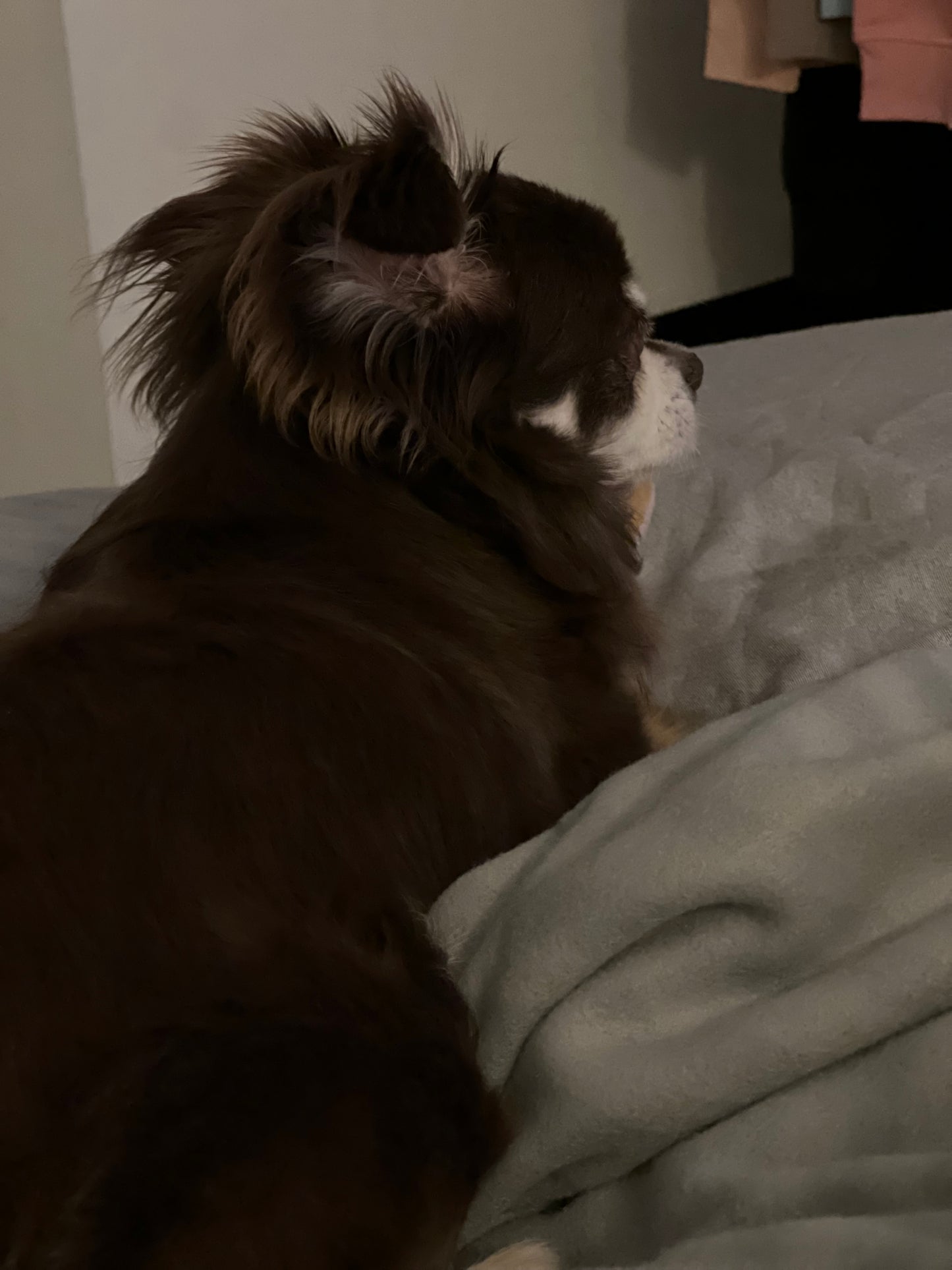 Personalised Embroidery Large