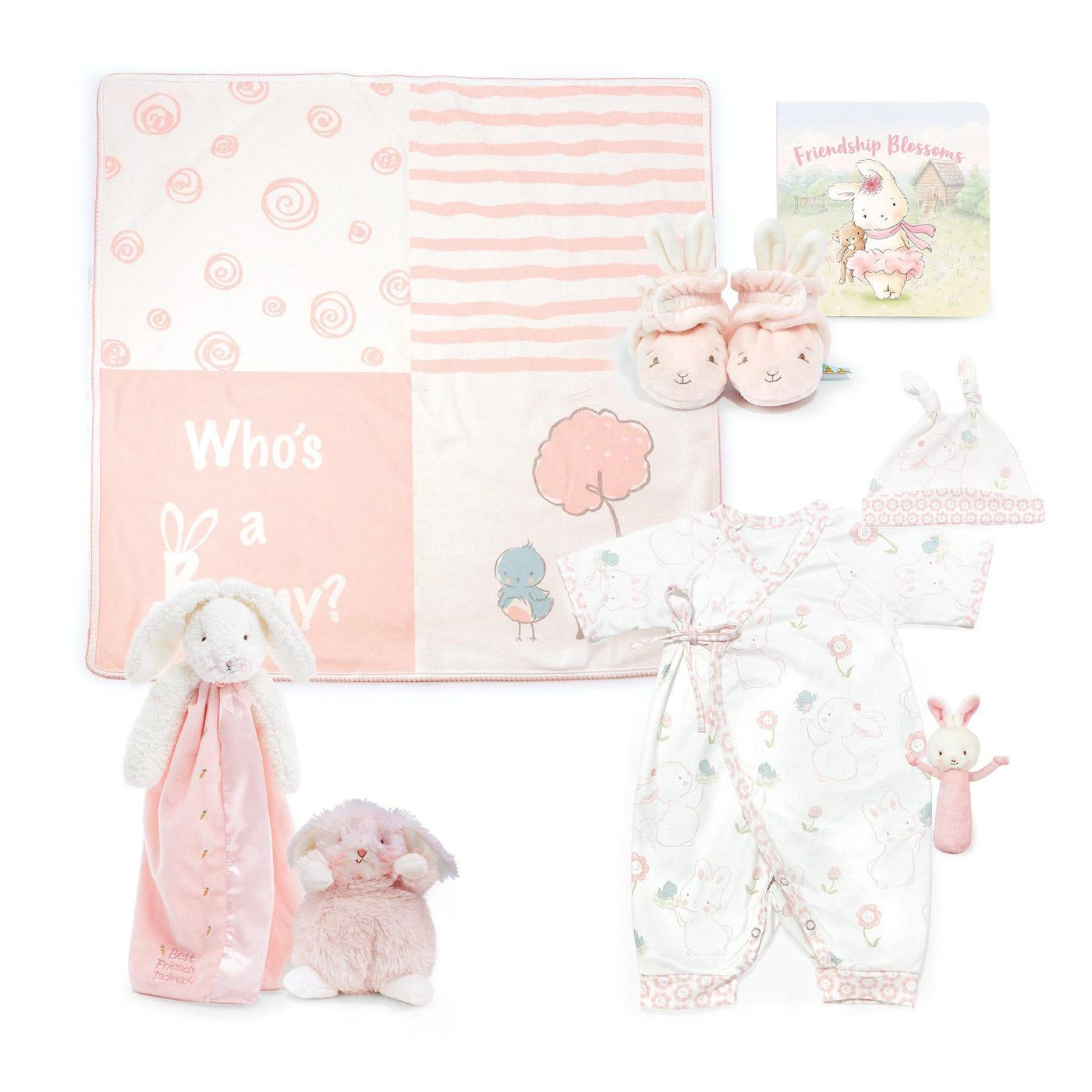 Delightful, Indeed Newborn Gift Set (0-3 months)