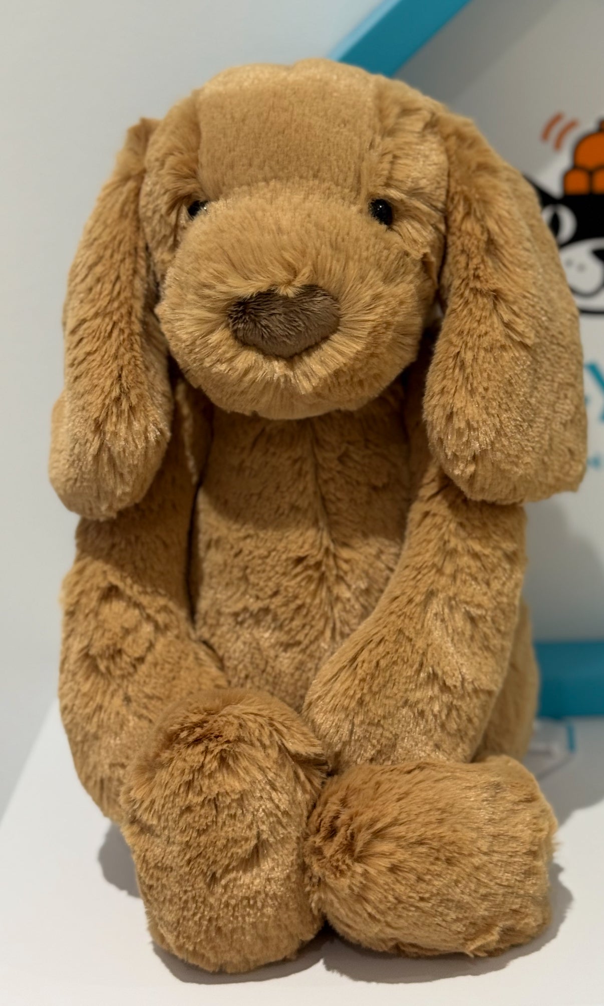 Jellycat Bashful Toffee Puppy (Retired)