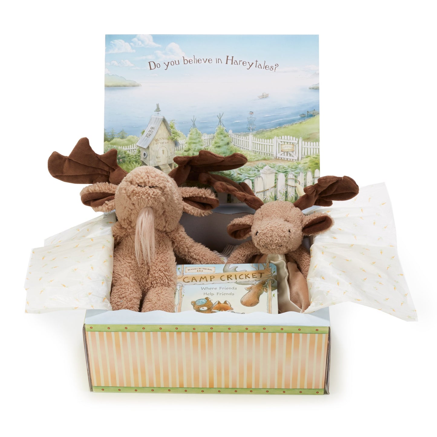 Bruce The Moose  Adventures Gift Set