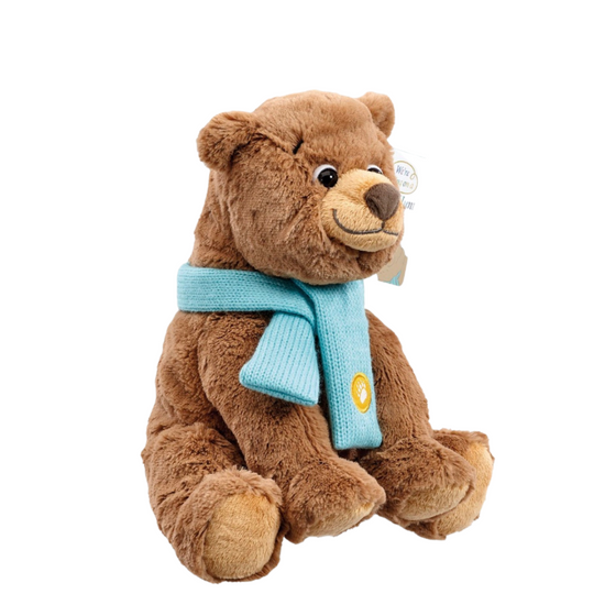Load image into Gallery viewer, We&amp;#39;re Going On a Bear Hunt Large Gift Set
