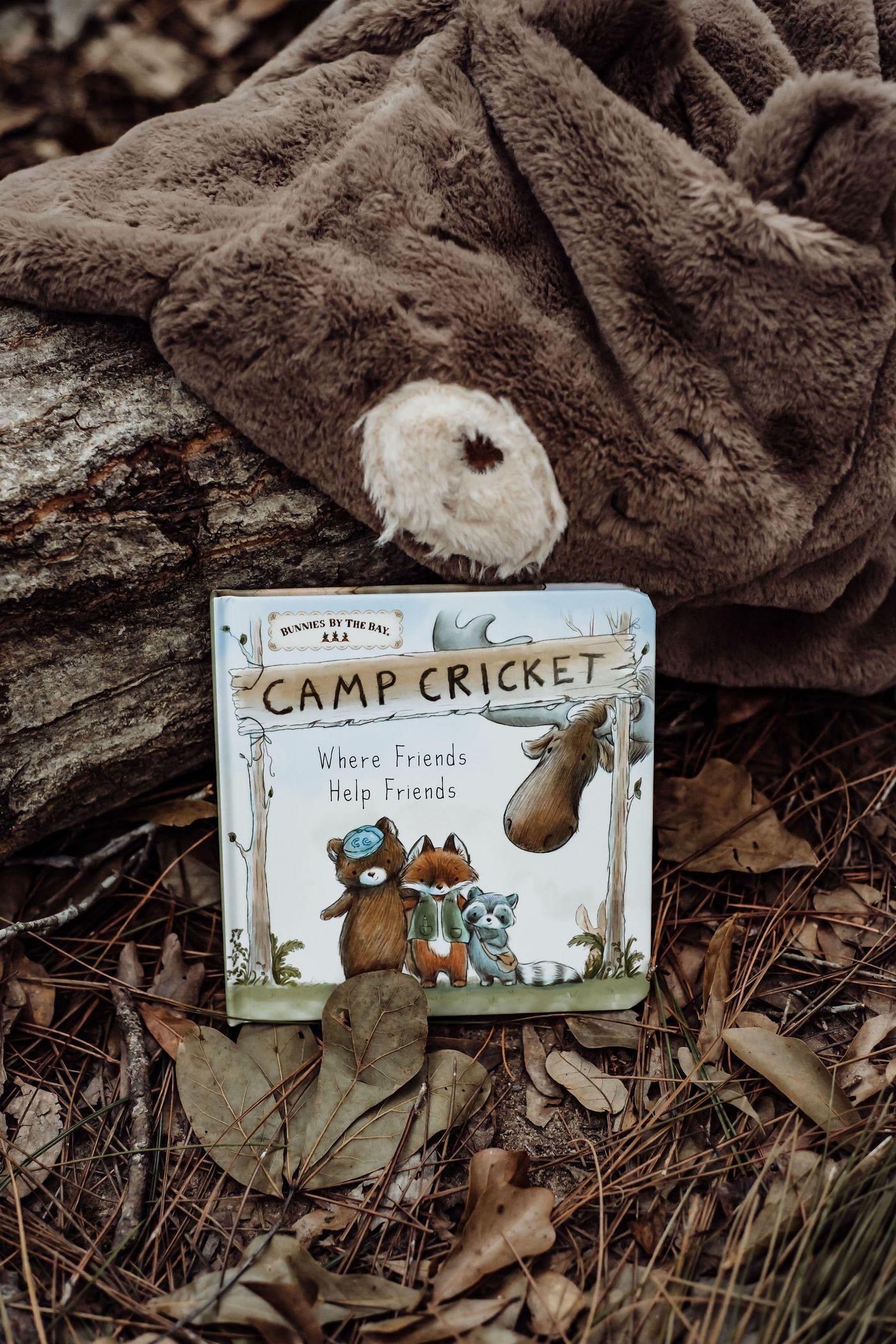 Camp Cricket Book