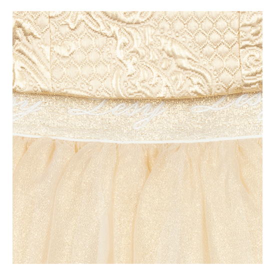 Lesy Sparkly Tulle Diamanté, Pearl and Gold Brocade Skirt Set