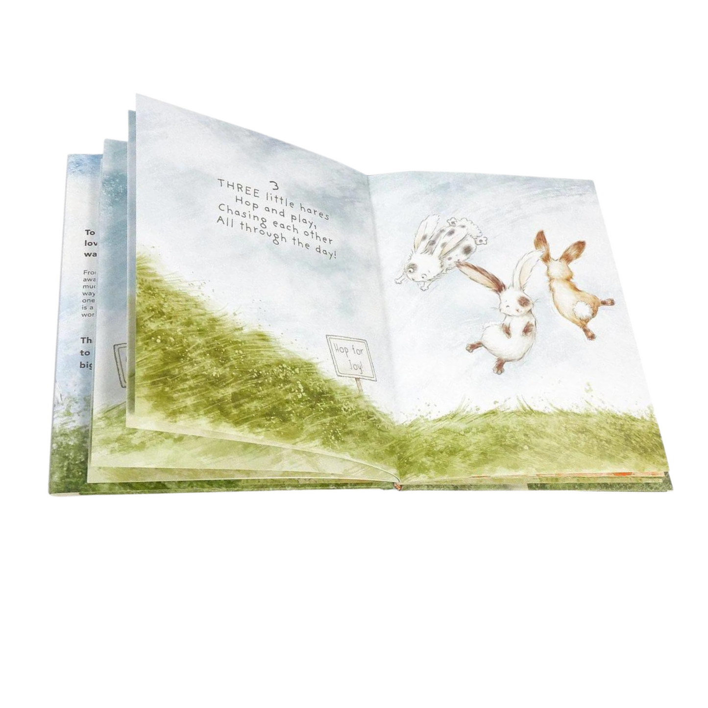 Every Hare Counts Book