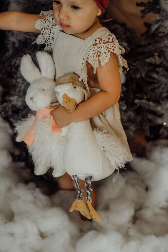 Bunnies by the Bay Aurora Angora Rabbit
